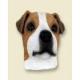 Jack Russell Terrier Doogie Head, Brown and White