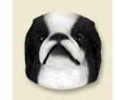 Japanese Chin Doogie Head, Black and White