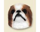 Japanese Chin Doogie Head, Red and White