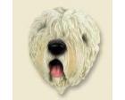 Soft-coated Wheaten Terrier Doogie Head
